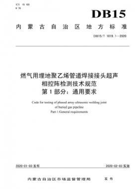 燃氣用埋地聚乙烯管道焊接接頭超聲相控陣檢測技術(shù)規(guī)范 第1部分:通用要求 DB15∕T 1819.1-2020