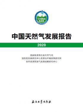 2020中國天然氣發(fā)展報(bào)告（含2017、2018、2019、2020）