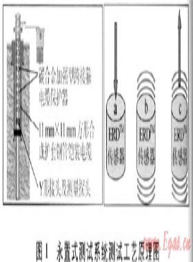 井下永置式測試技術(shù)在普光氣田的應用